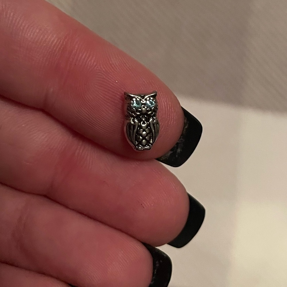 Origami owl living locket owl charm